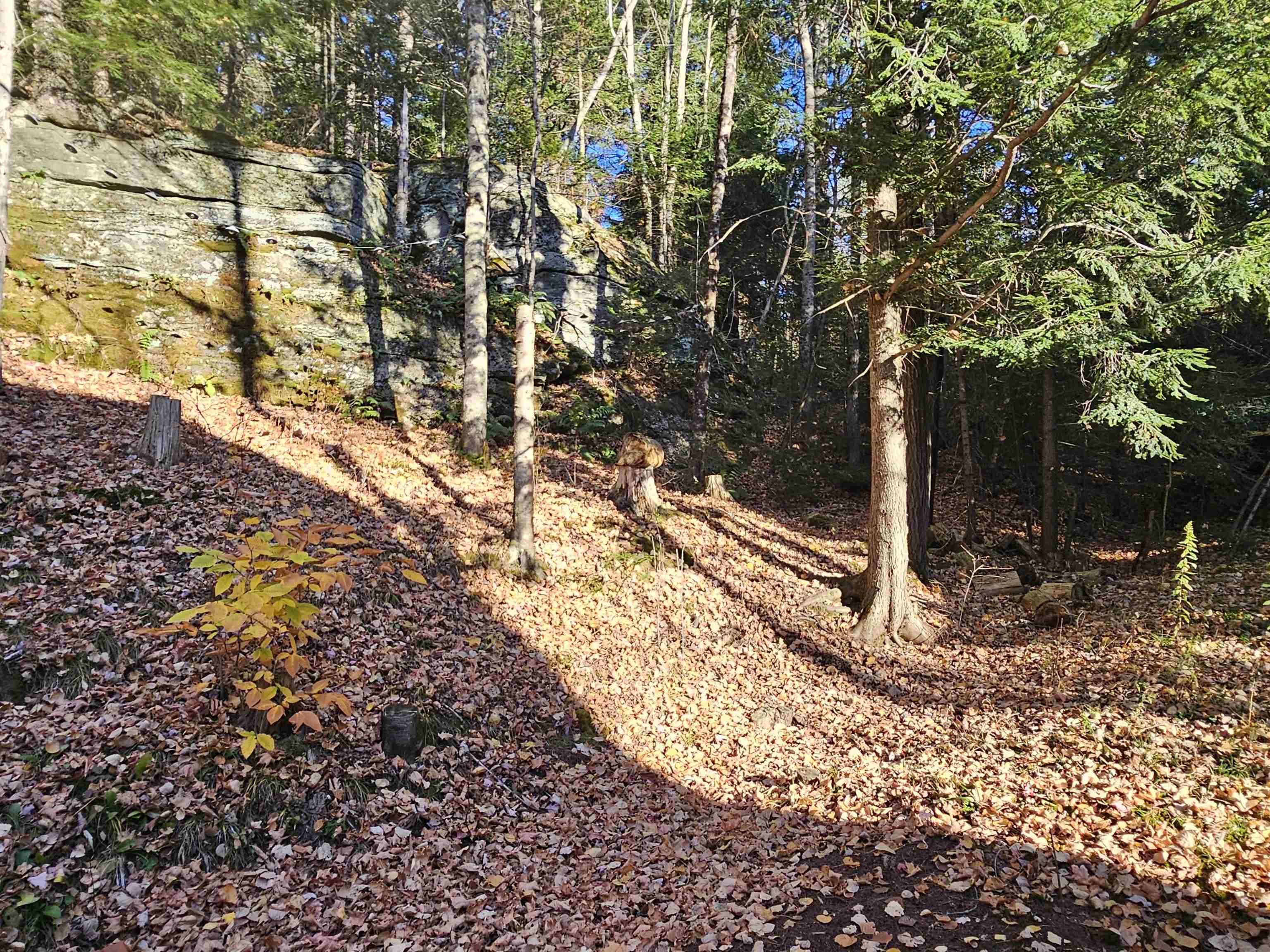 main property photo 6
