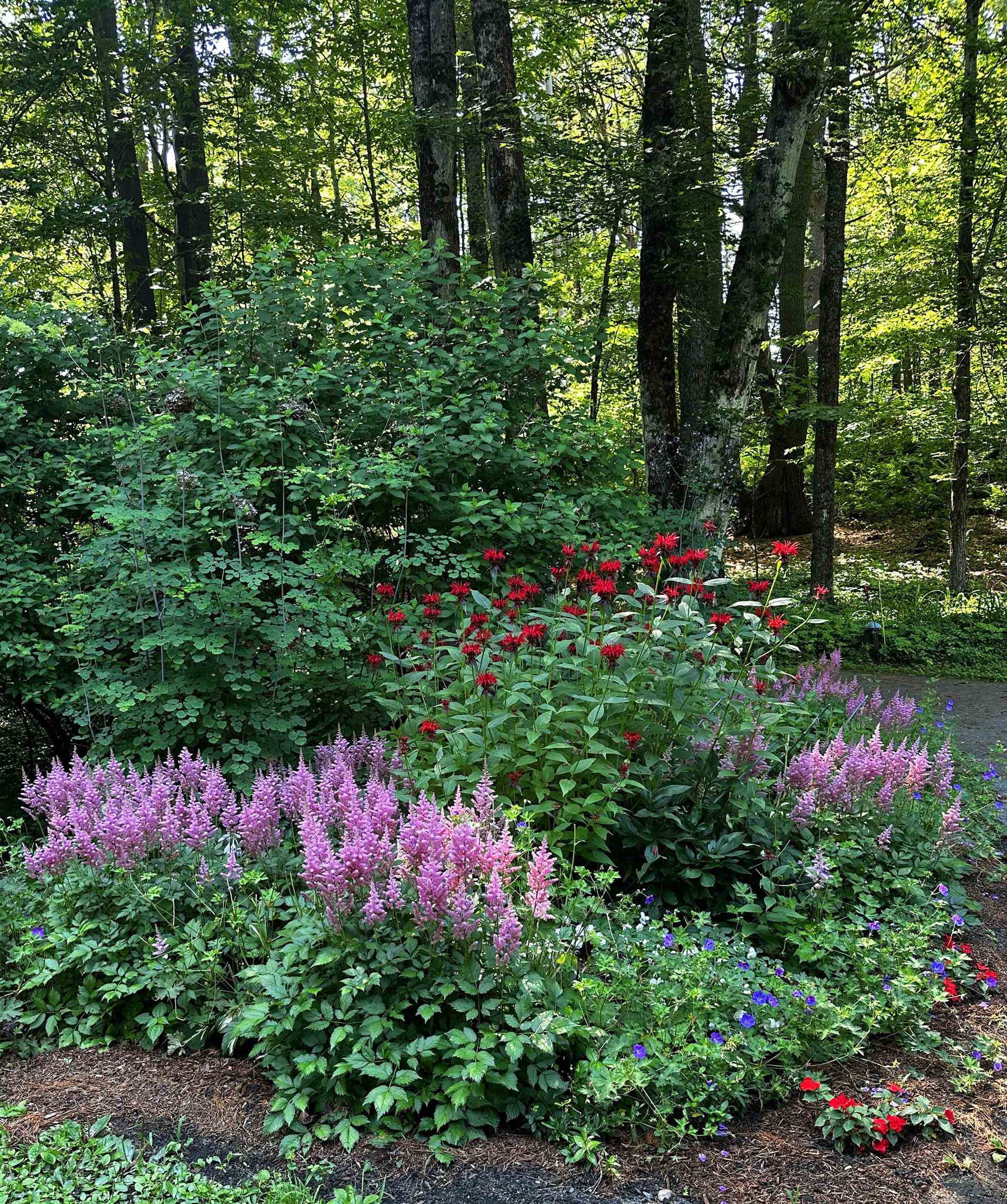 main property photo 49