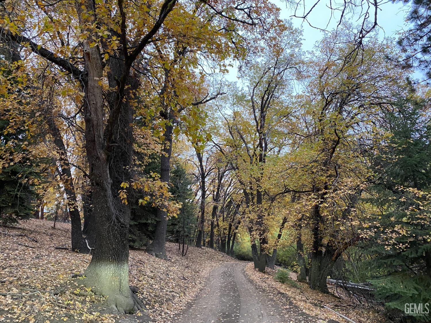main property photo 36