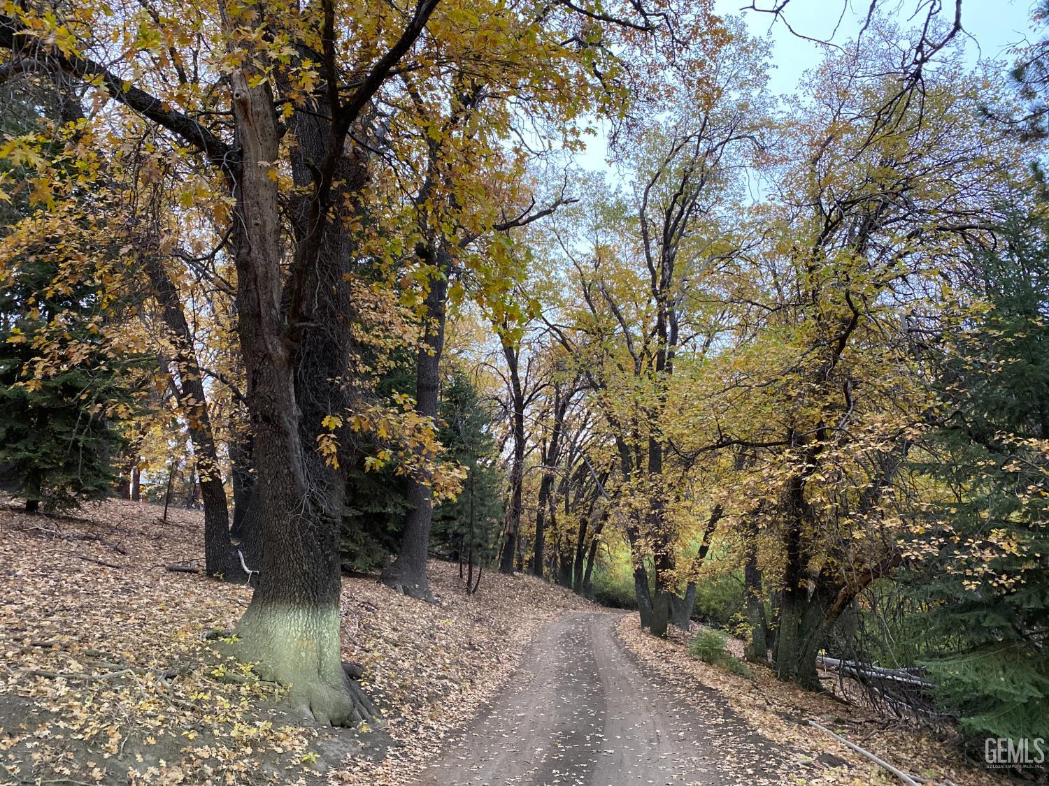 main property photo 37