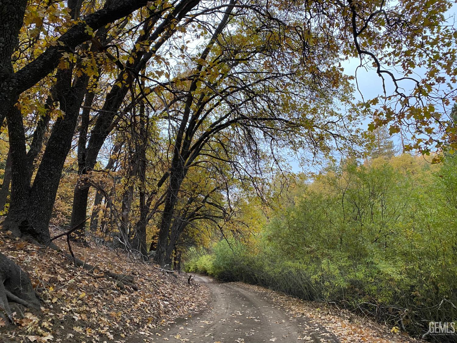 main property photo 40