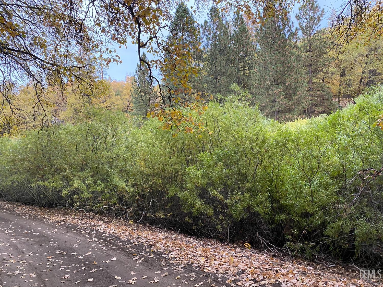 main property photo 41