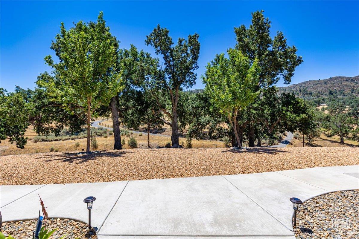 main property photo 55
