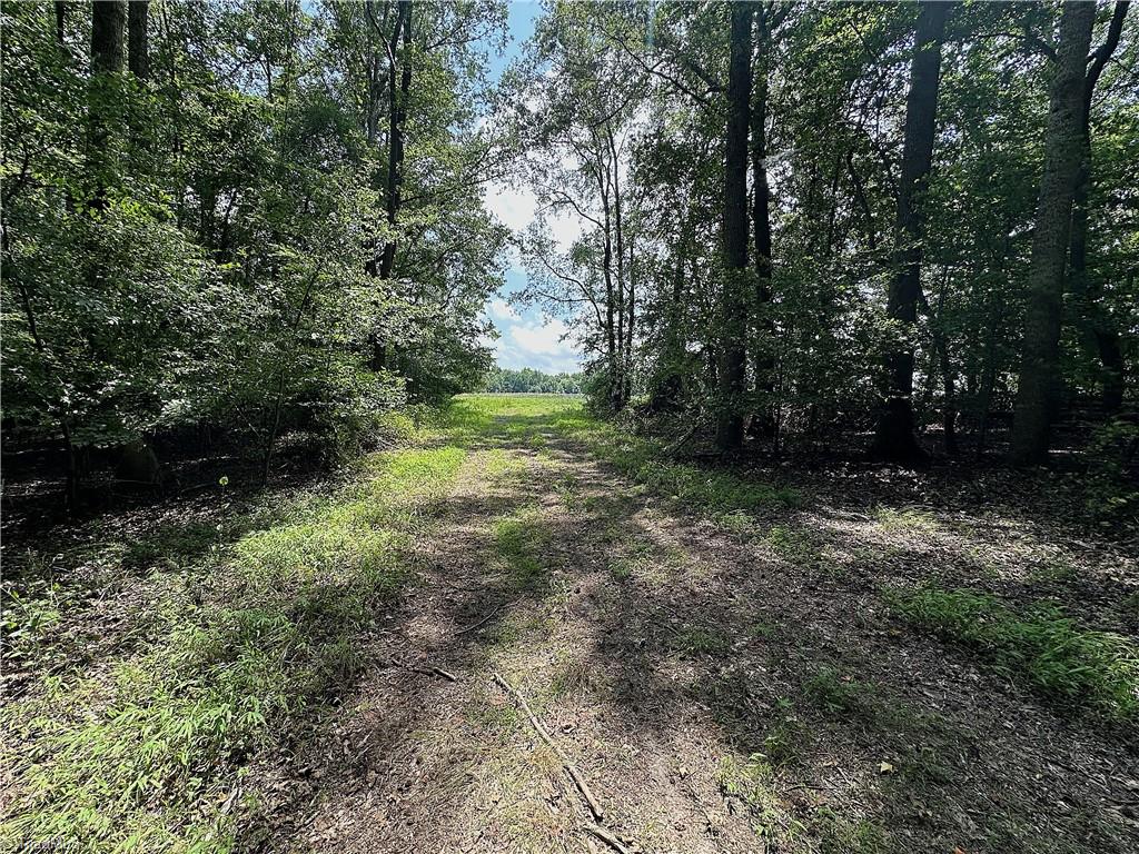 main property photo 28