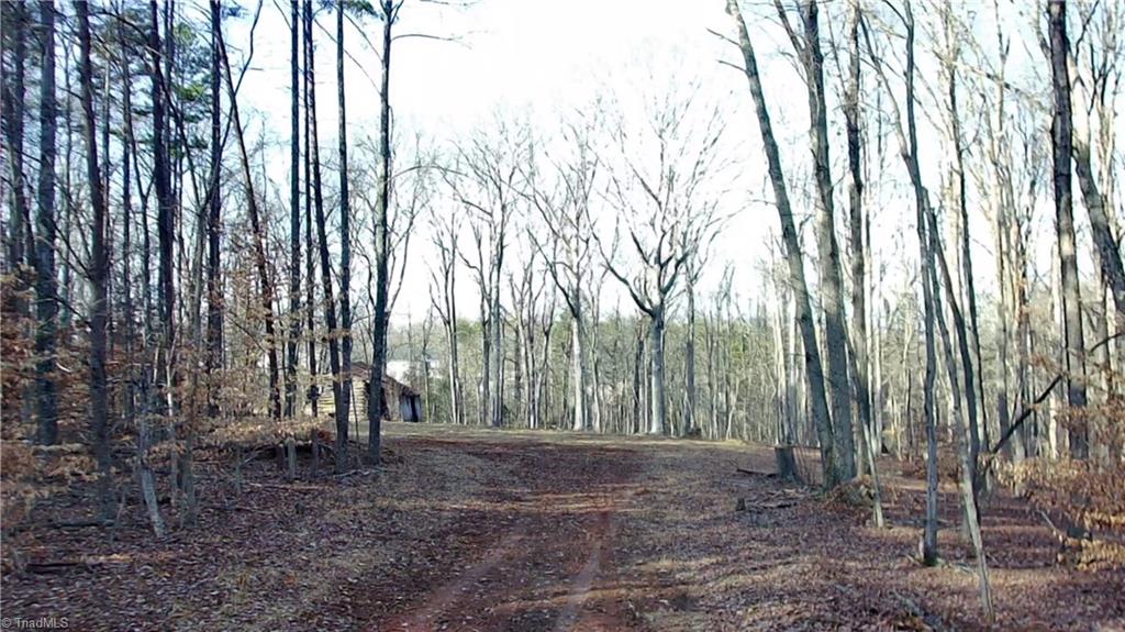 property viewer photo 3
