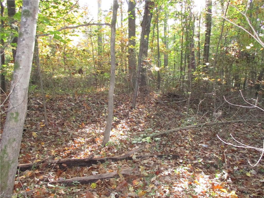 main property photo 41