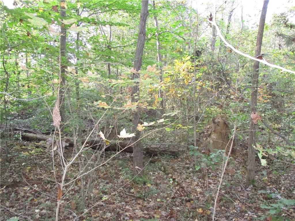 main property photo 43