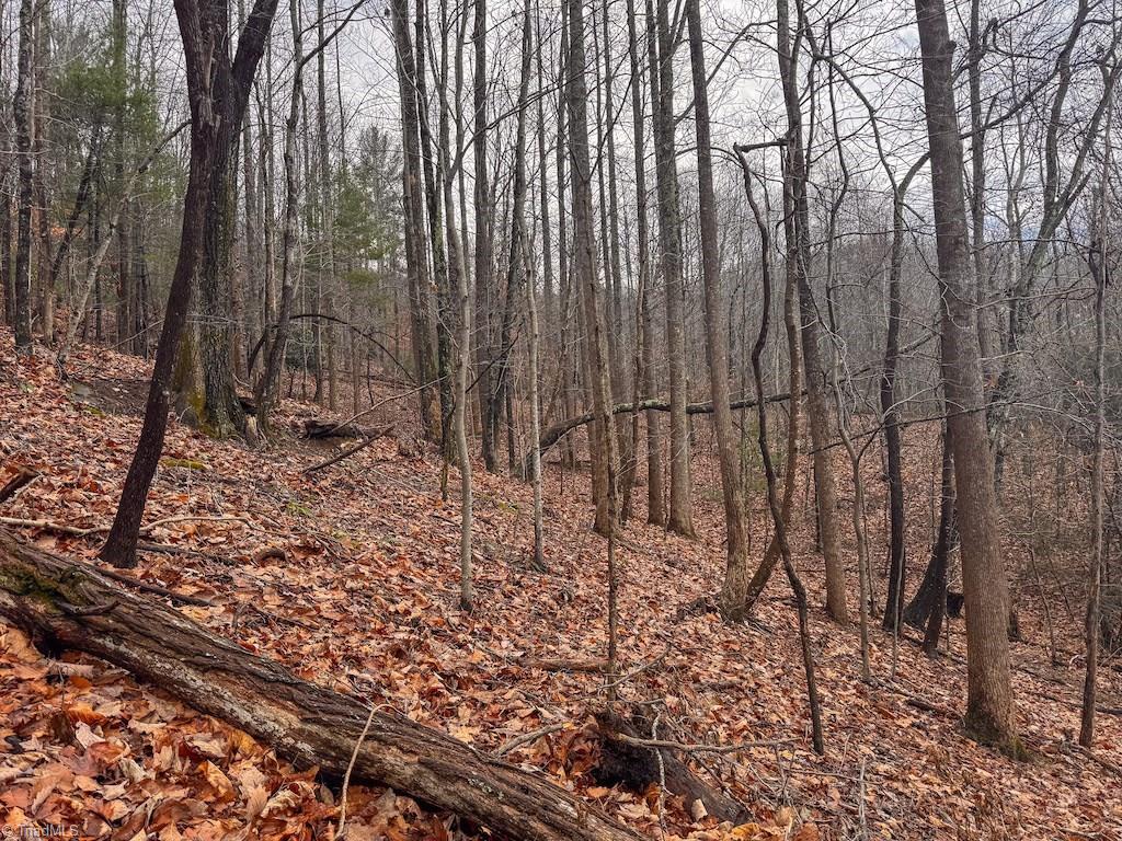property viewer photo 3