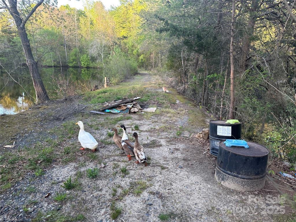 property viewer photo 2
