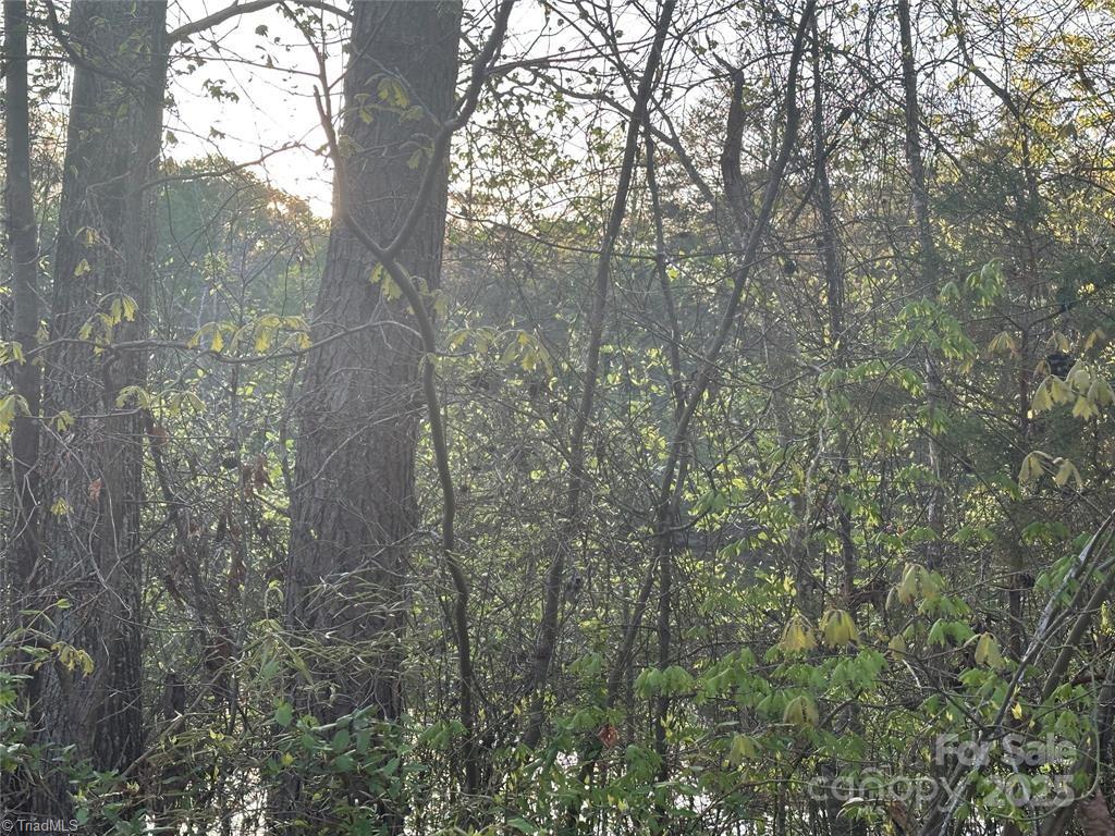 property viewer photo 8