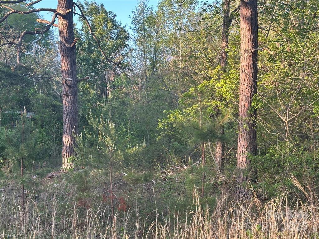 property viewer photo 9