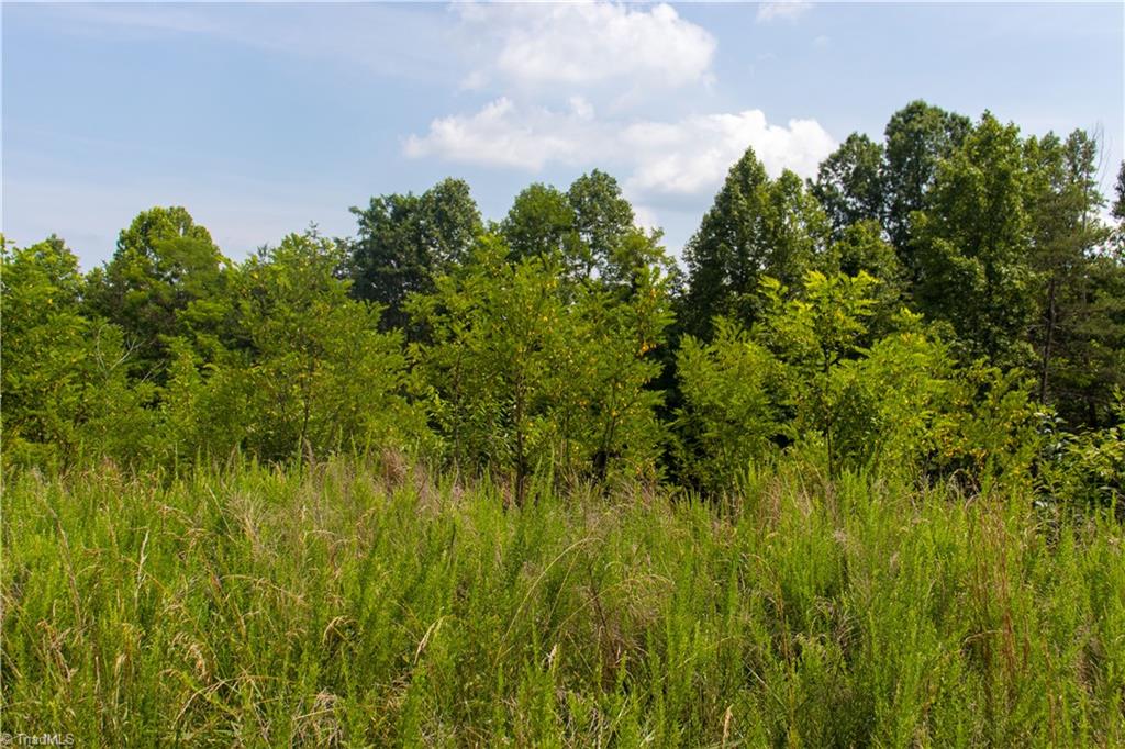 property viewer photo 14