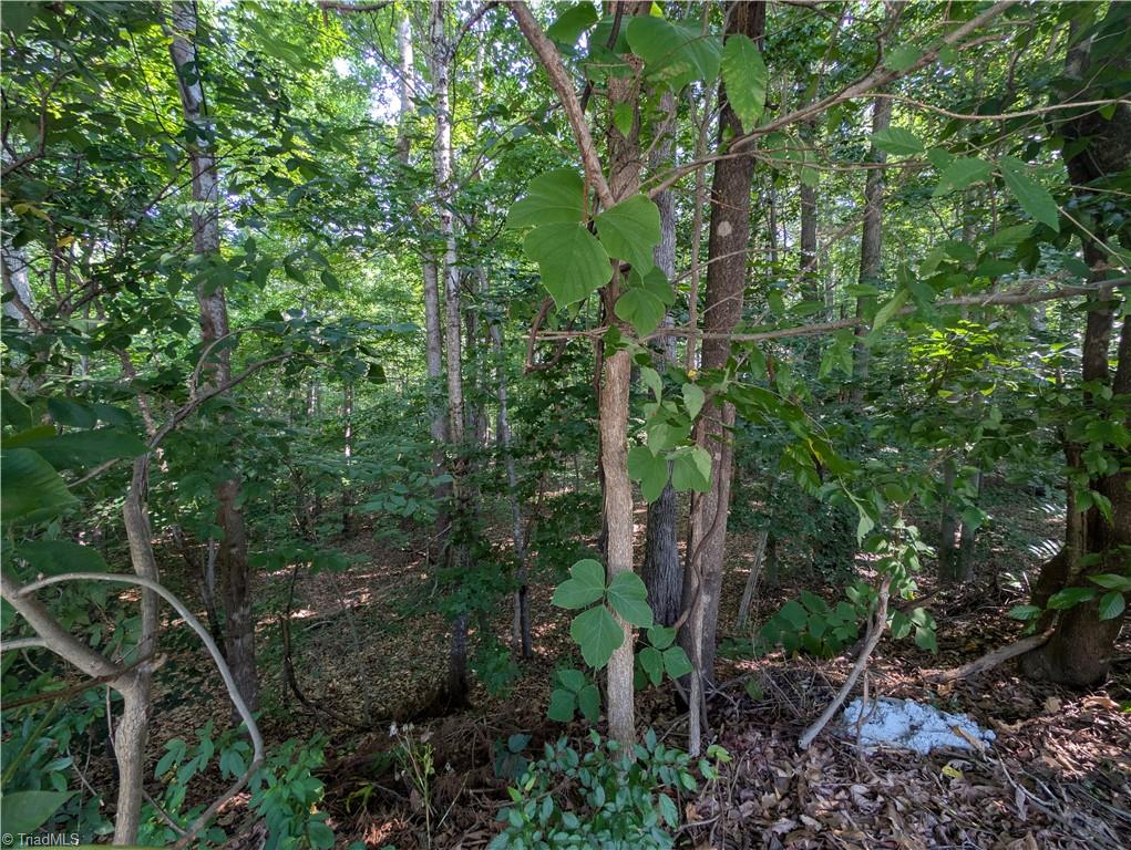 property viewer photo 2