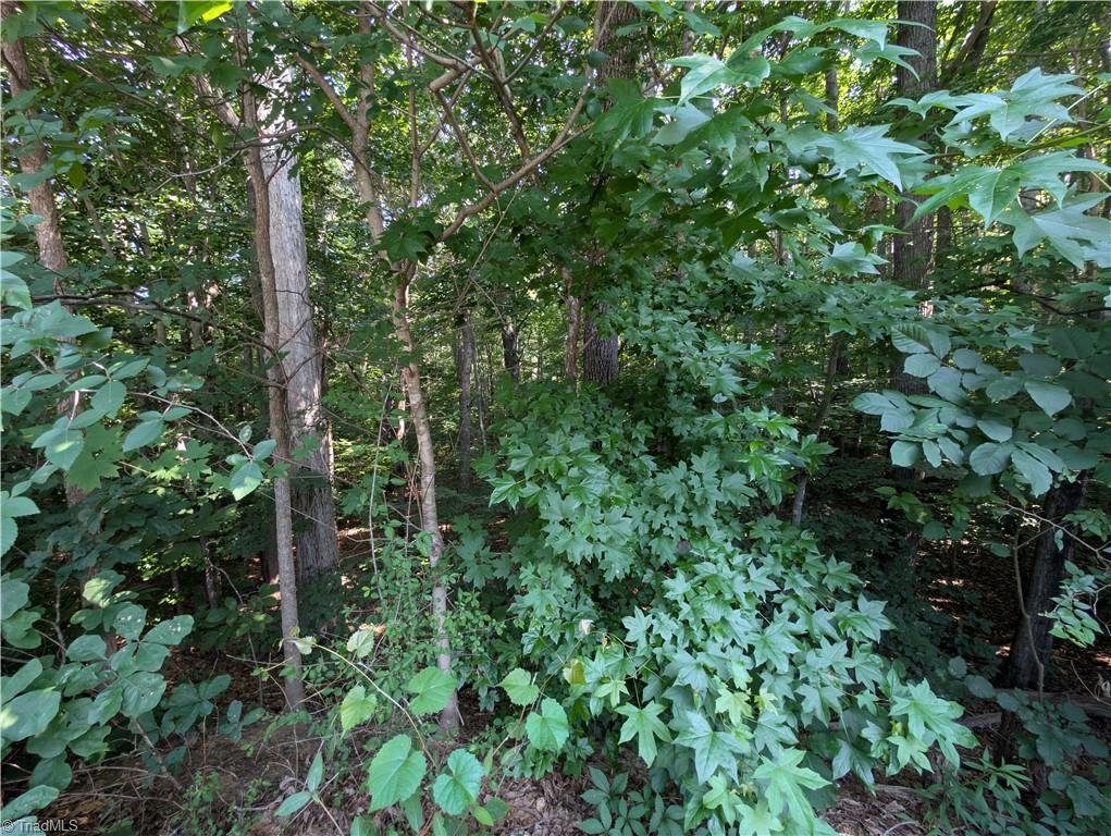 property viewer photo 3