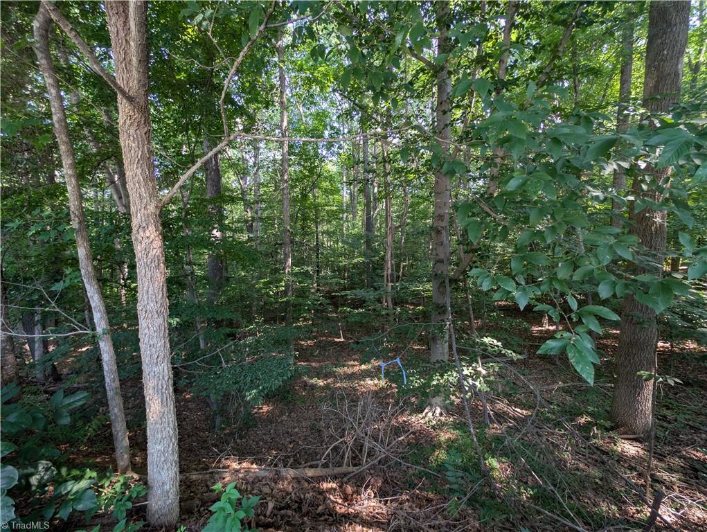property viewer photo 4