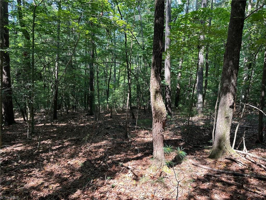 property viewer photo 10