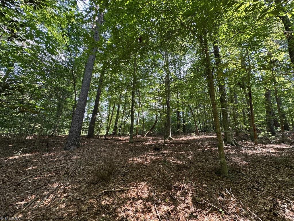 property viewer photo 11