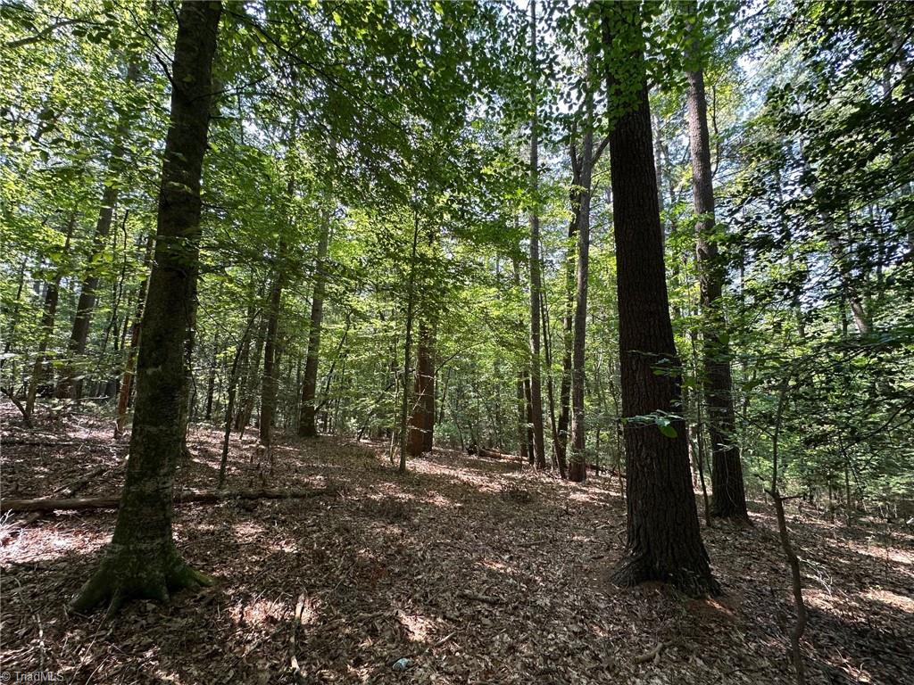 property viewer photo 12
