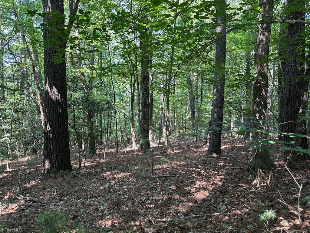 property viewer photo 13