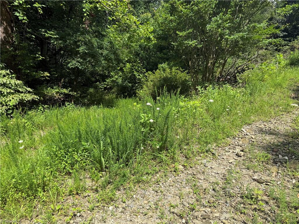 property viewer photo 1