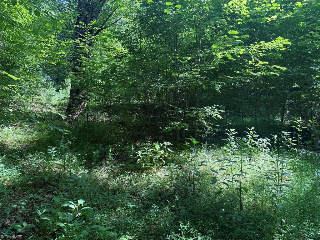 property viewer photo 2