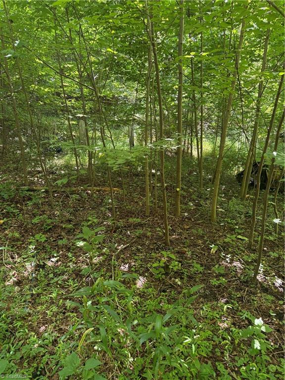 property viewer photo 5