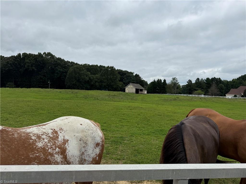 property viewer photo 2