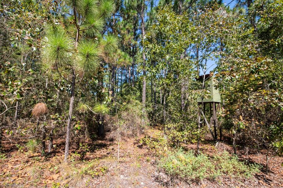 property viewer photo 10