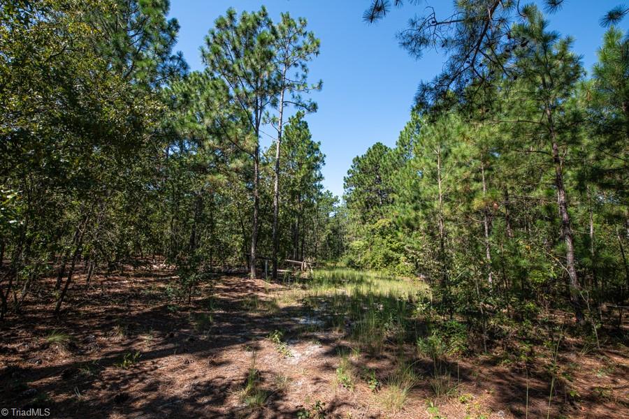 property viewer photo 12