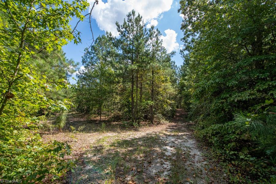 property viewer photo 15