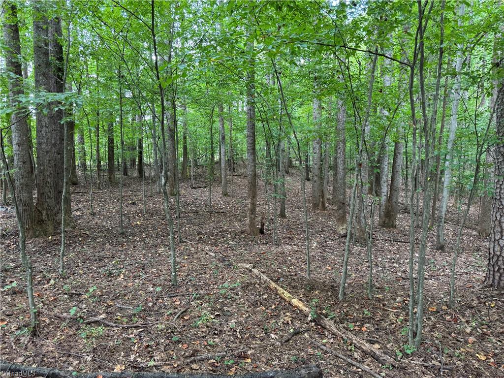 property viewer photo 2