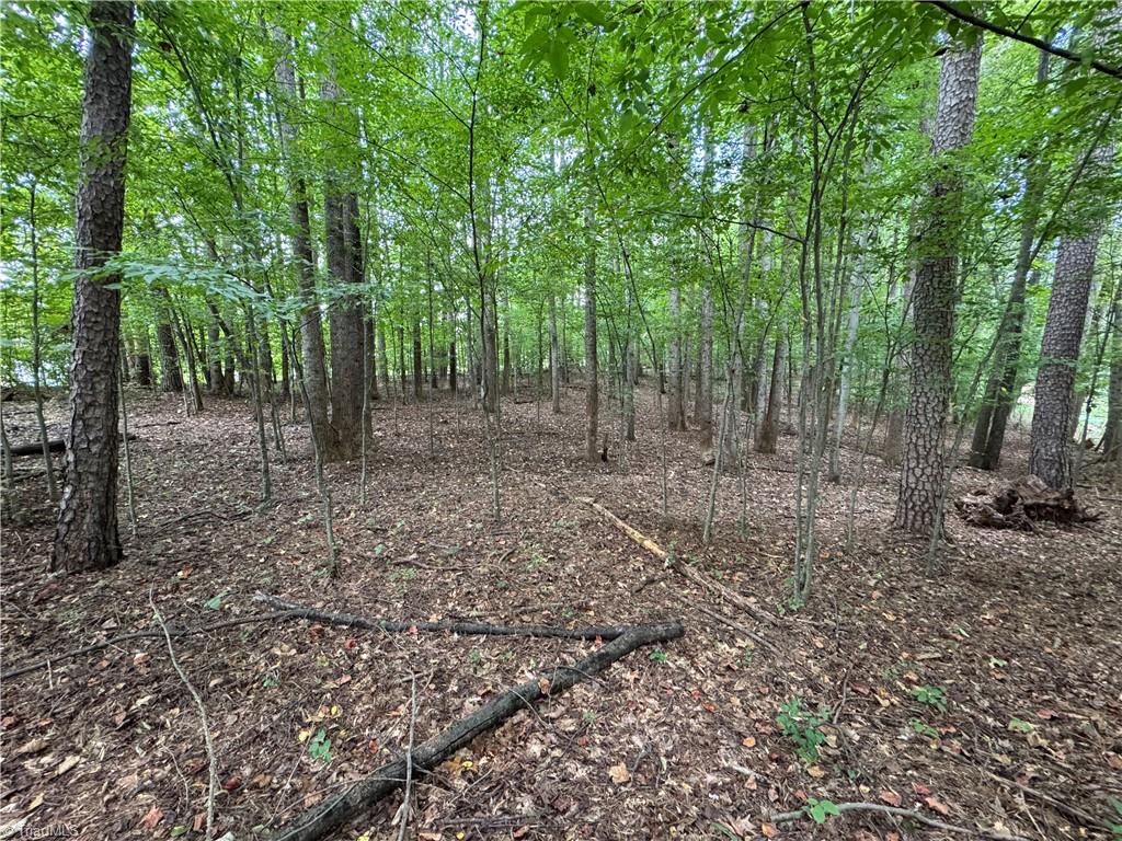 property viewer photo 3