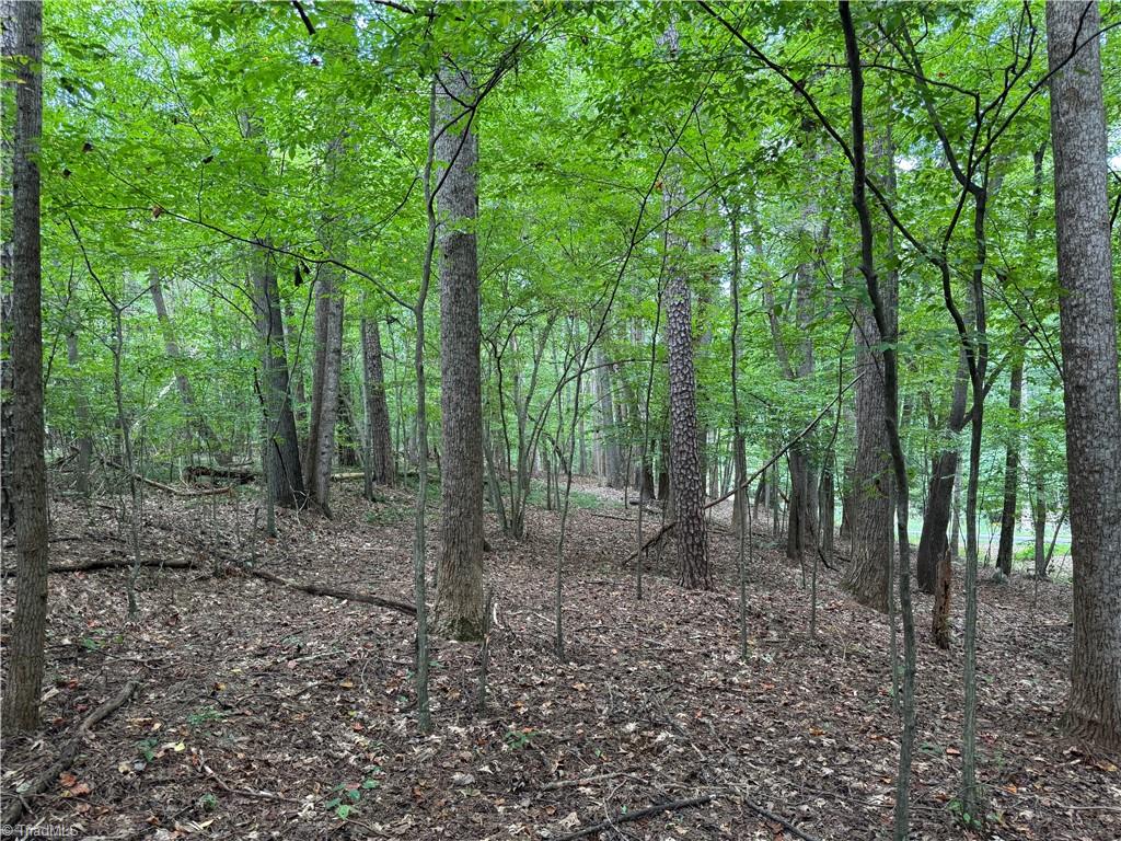 property viewer photo 4