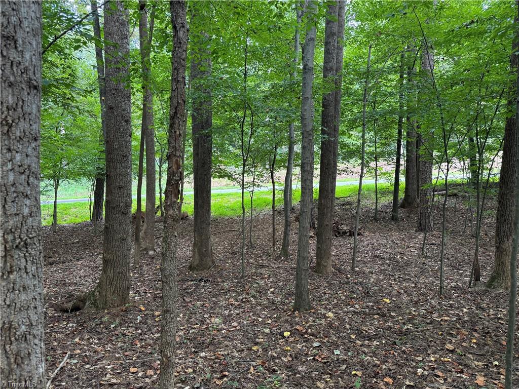 property viewer photo 5