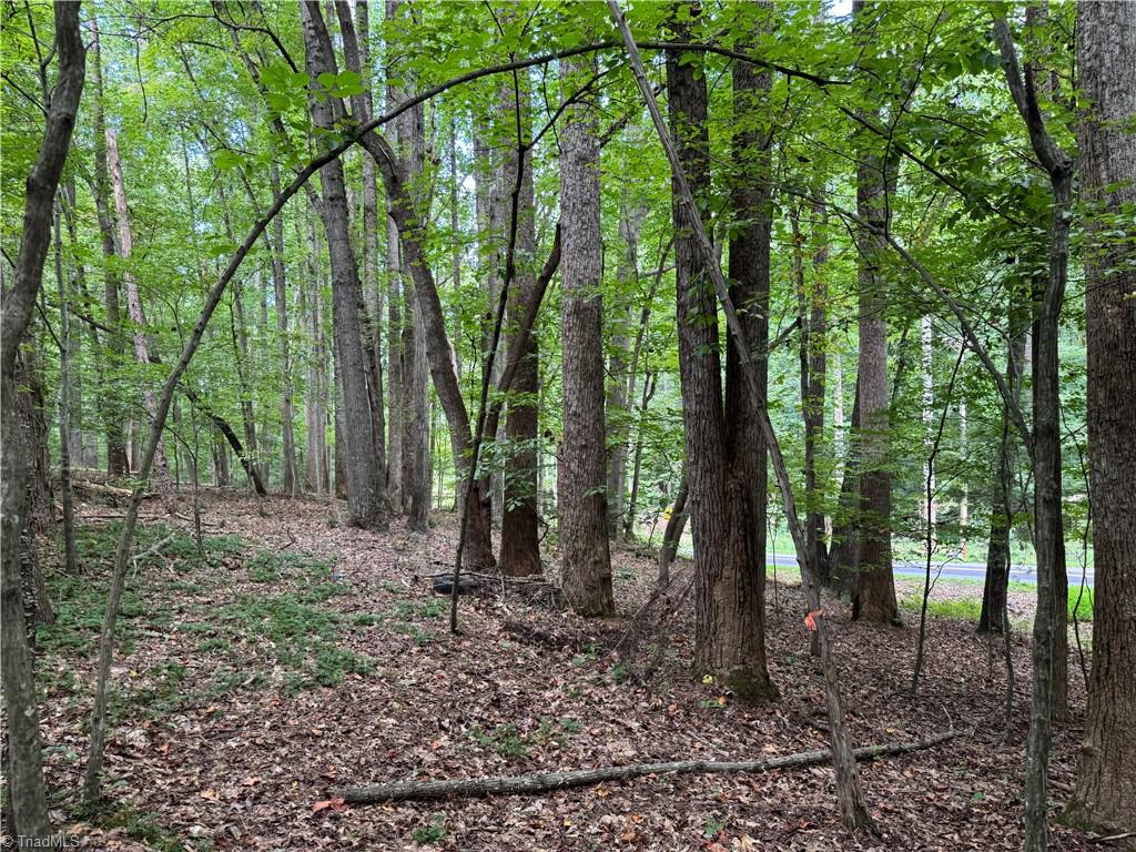 property viewer photo 6