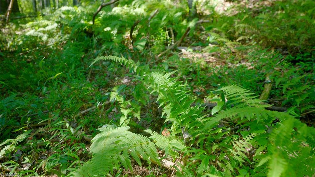 property viewer photo 25