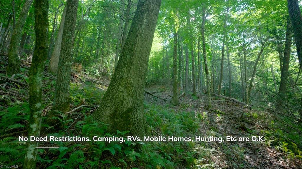 property viewer photo 29