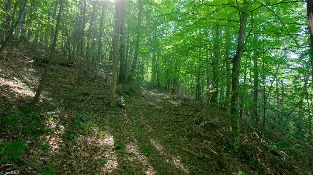 property viewer photo 30