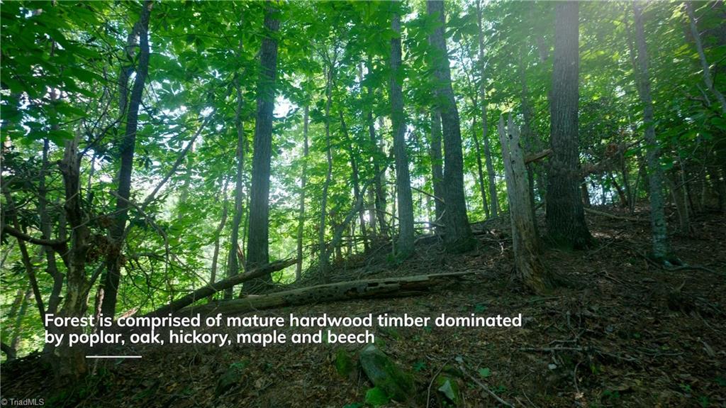 property viewer photo 31