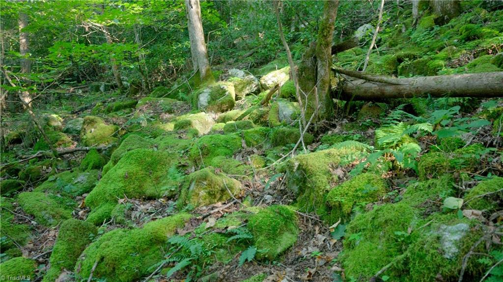 property viewer photo 38