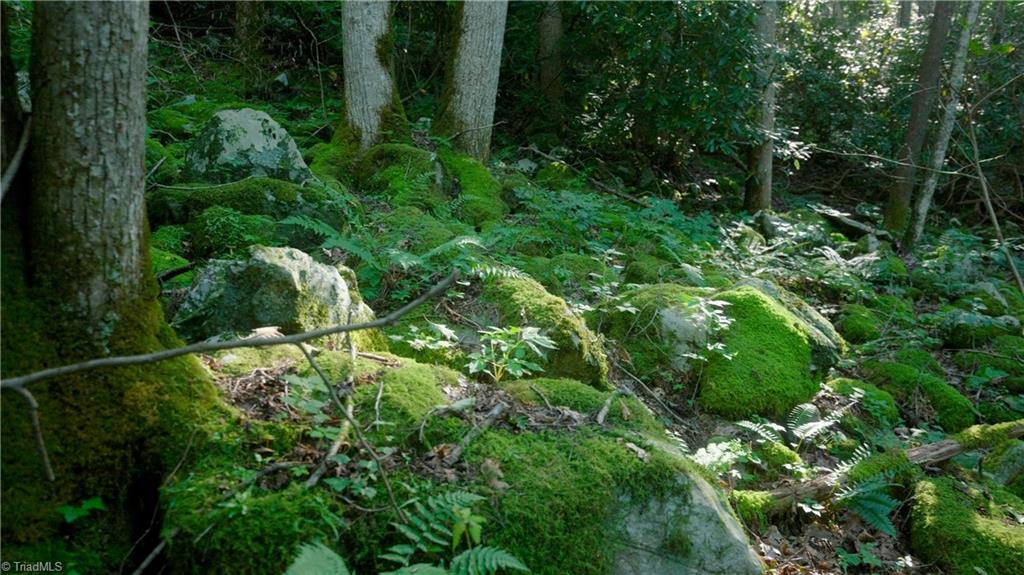 property viewer photo 39