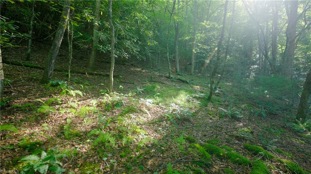 property viewer photo 40