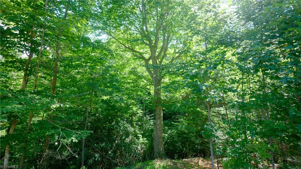 property viewer photo 43