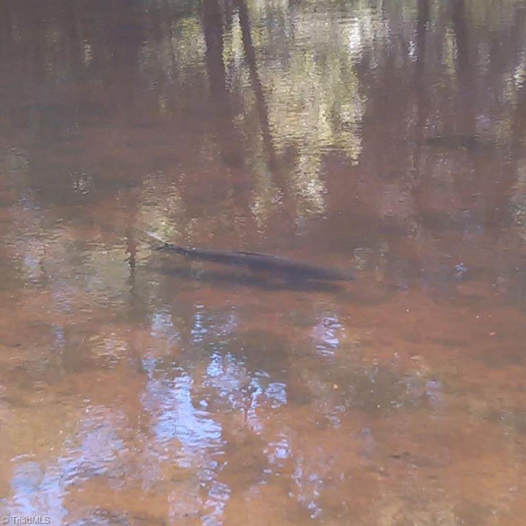 property viewer photo 17