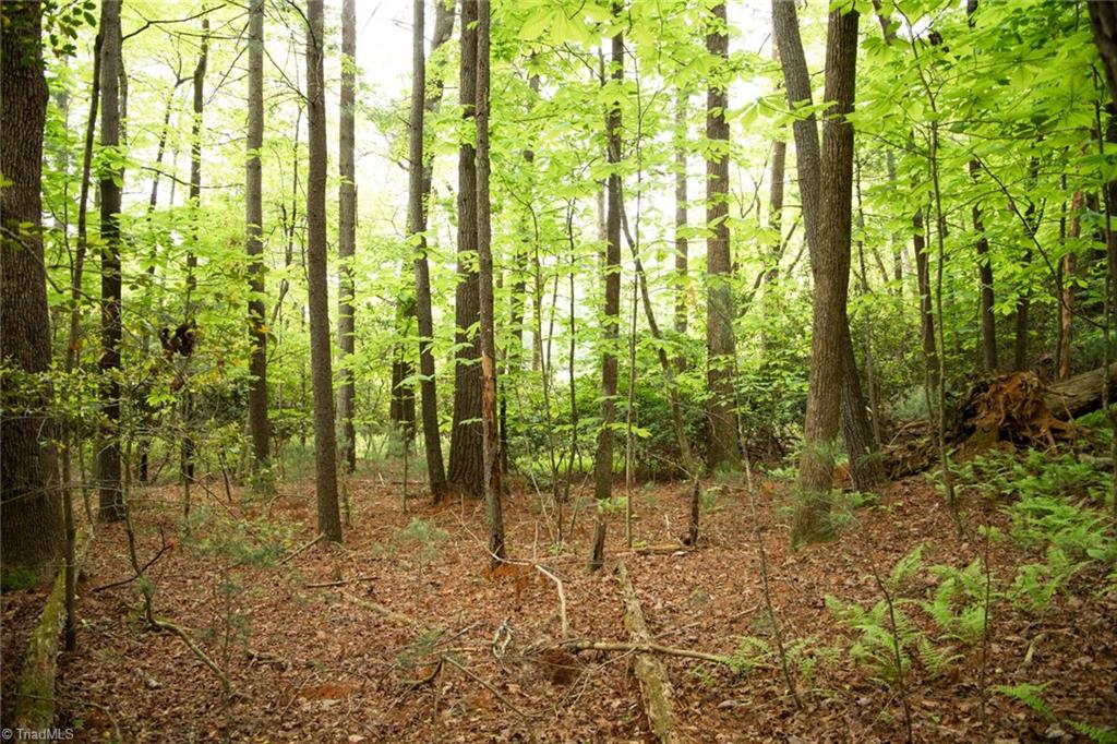 property viewer photo 10