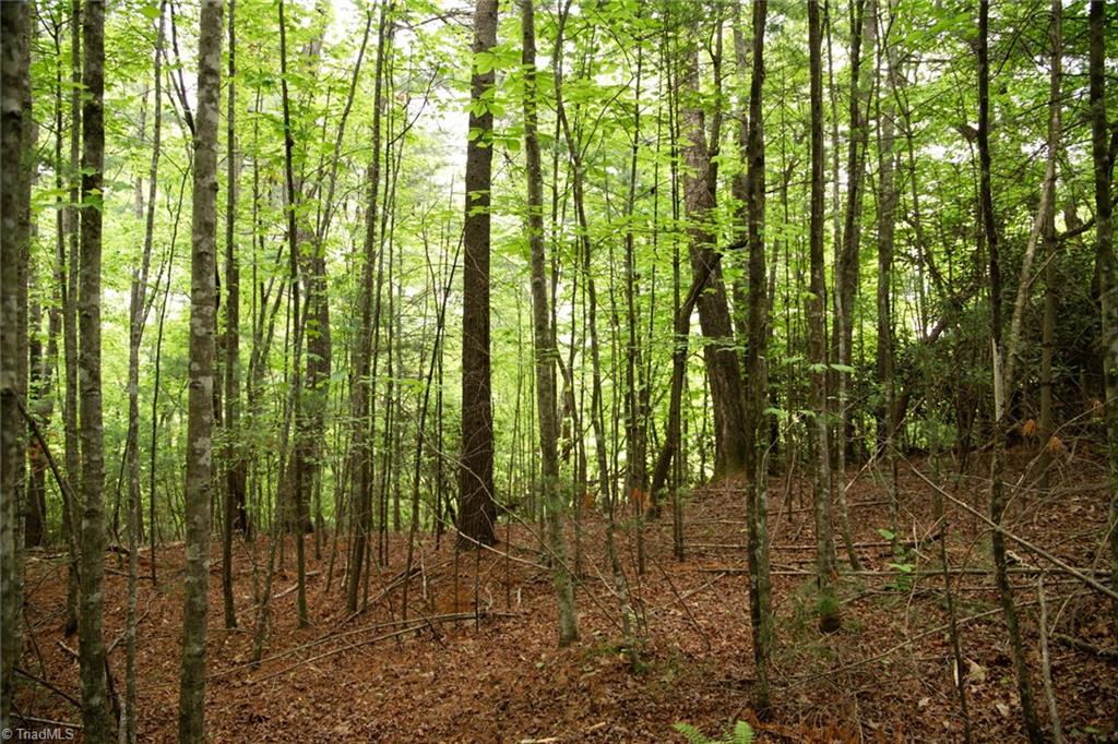 property viewer photo 12