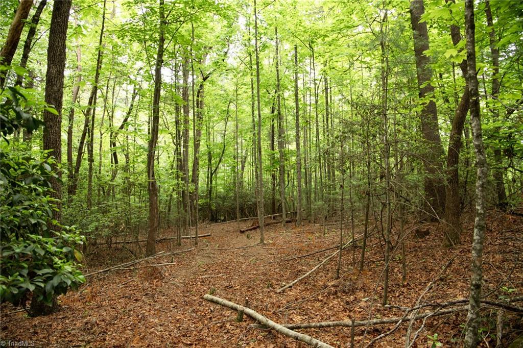 property viewer photo 13