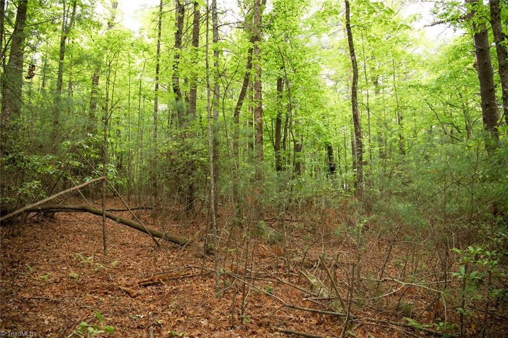property viewer photo 14