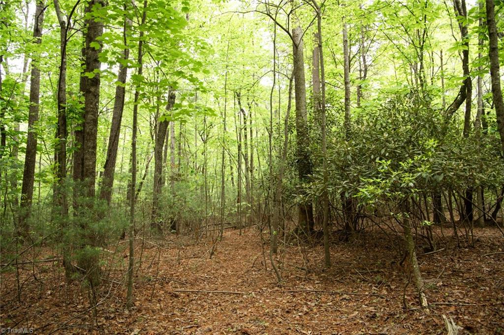 property viewer photo 15