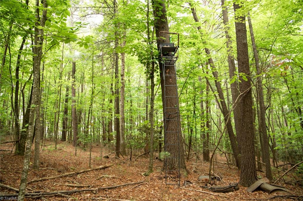 property viewer photo 17